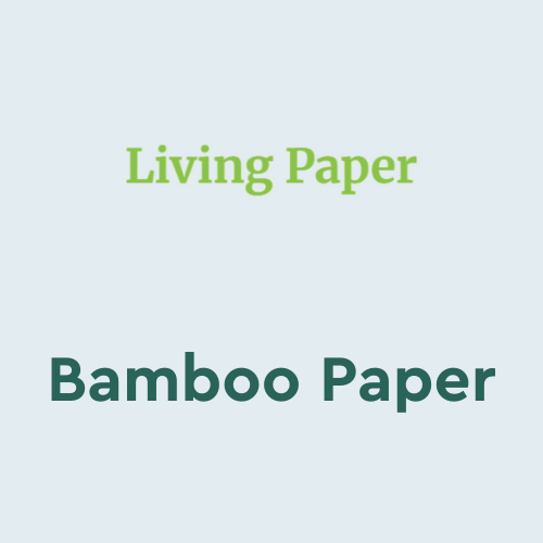 Bamboo Paper