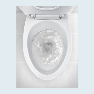 Toilet Cistern Cleaners