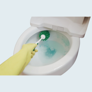 Toilet Hygiene Products NZ | Cleaners, Urinal Cubes & Tissue | Insinc