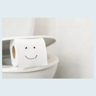 Plastic-Free Packaged Toilet Paper NZ | Insinc