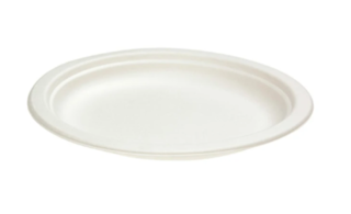 Sugar Cane Dinner Plate 230mm (9