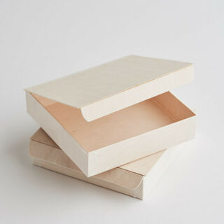 Verterra Collapsible Box lid/window/compartment - Epicure