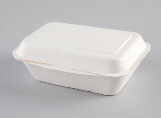 Enviroware 500ml Hinged Container - Coastal