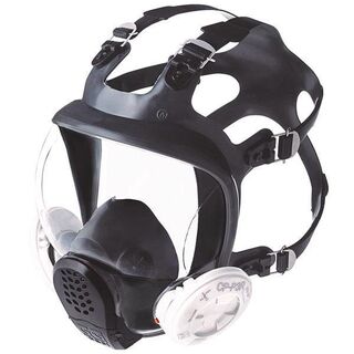 FS01 Full Face Mask - S
