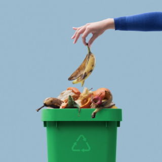 Biogas vs Composting: What Happens to Food Waste After It Leaves Your Bin?